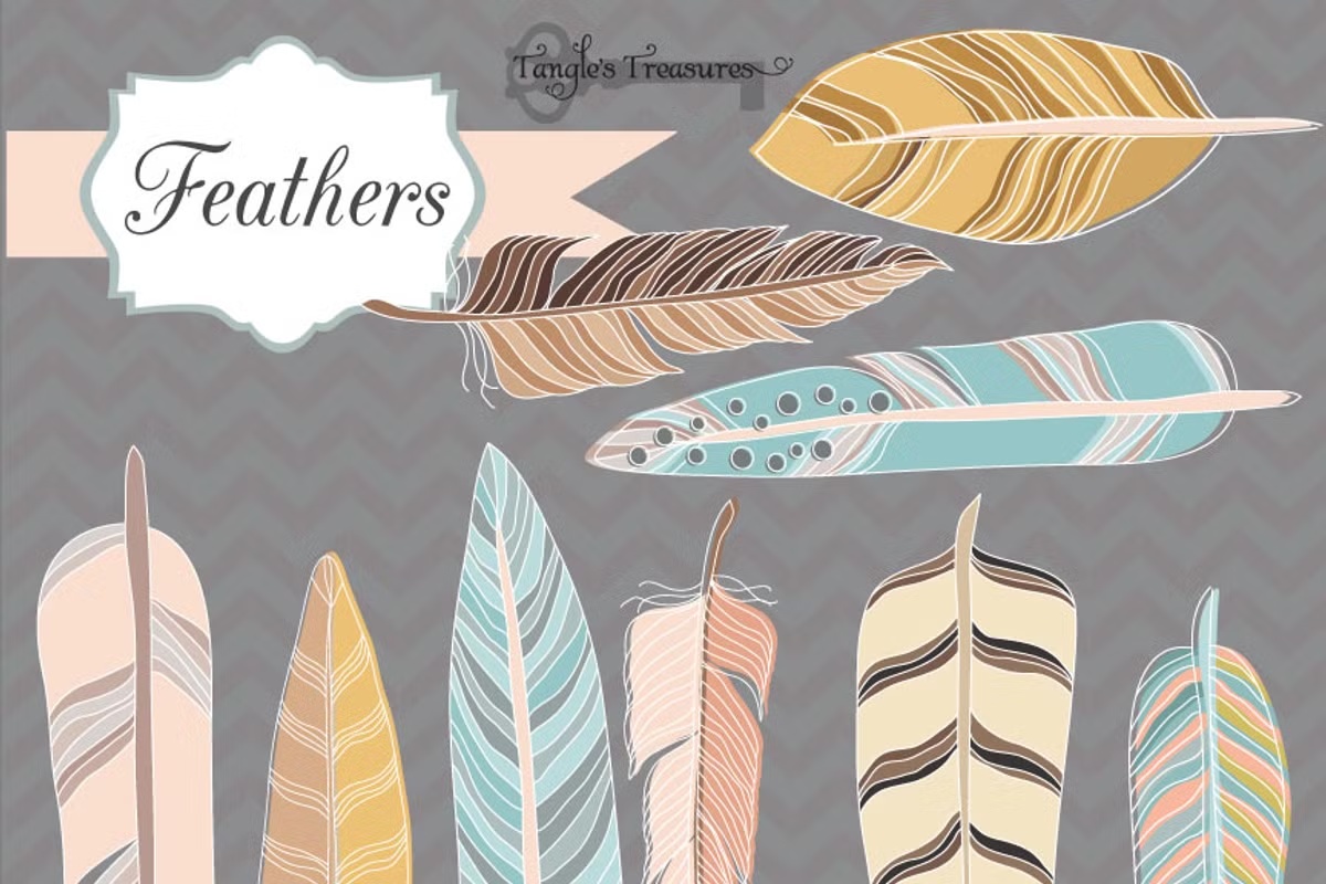 Feather Graphic Set