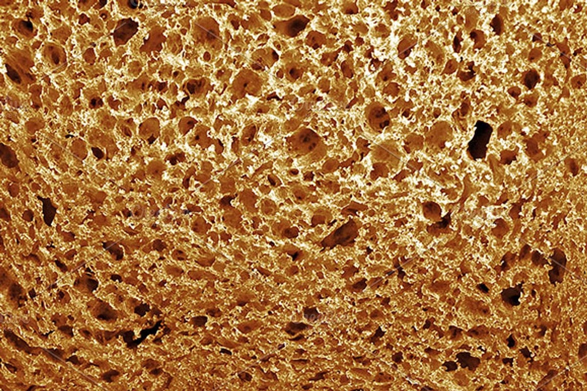 4 Bread Textures 6 4 Bread Textures