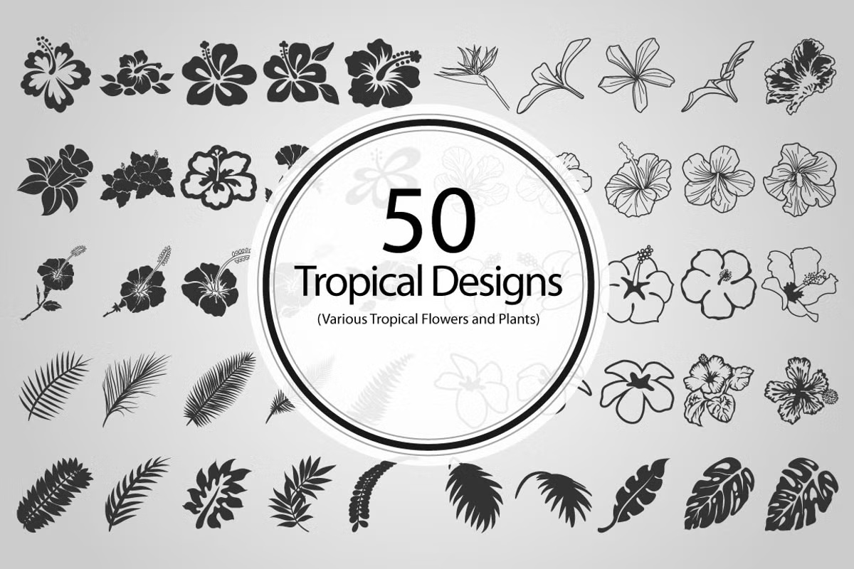 50 Tropical Designs (Vector)