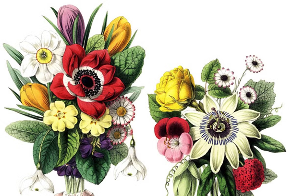 Vintage Botanical Bouquets